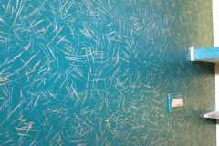 2e60b3aa-bf51-46c5-be0b-3cf641a20a81