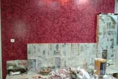 3c81d98d-50a6-47eb-89a7-e4a8e68bf60a